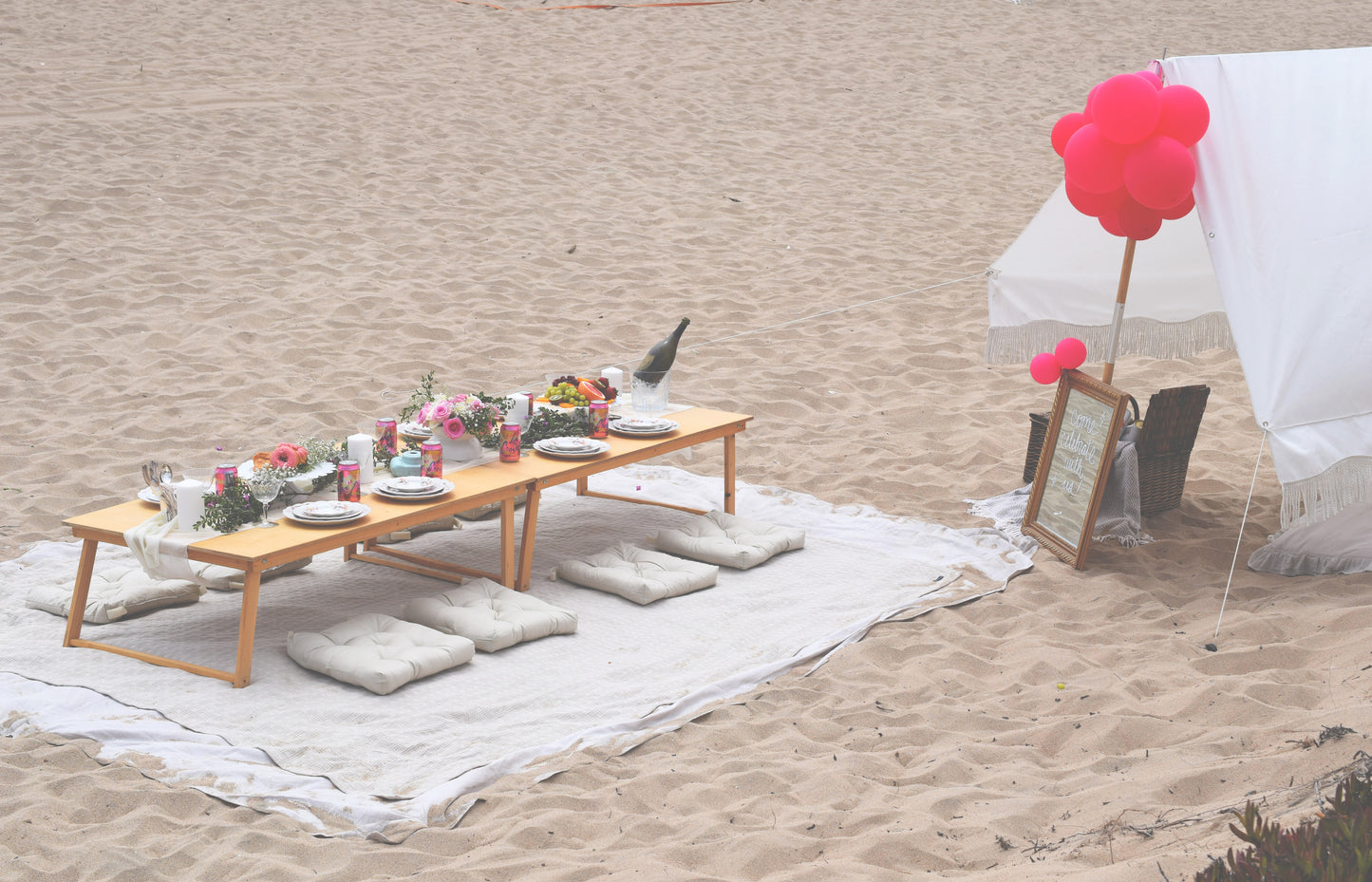 PINK PICNIC PARTY CELEBRATION FOR 8