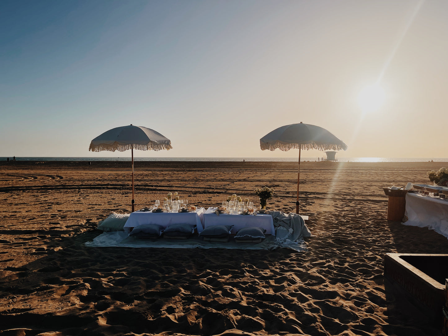 LUXURY PICNIC CELEBRATION FOR 8-10