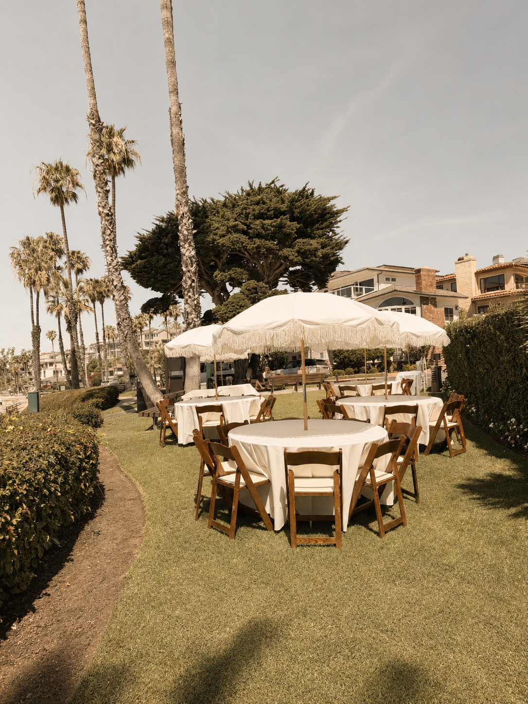 Fruitwood Chair Rental - Orange County - Newport Beach